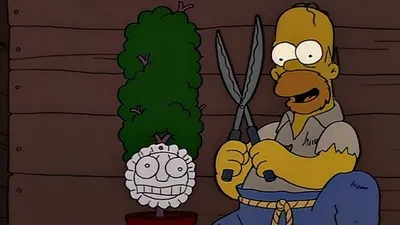 Secrets of a Successful Marriage