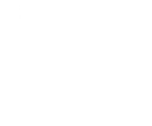 Это было последнее соревнование капитана по приключенческим гонкам Майкла Линднорда, он был полон решимости ничему не позволить встать у него на пути. Собрав первоклассную команду, он не мог и представить, что в 700-километровом забеге у них появится неожиданный попутчик — пес по кличке Артур, встреча с которым изменит не только исход гонки, но и их жизнь.