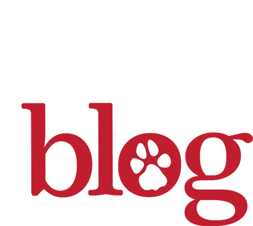 Однажды дворняга по кличке Стэн оказывается в доме, где растут сводные брат и сестра Тайлер и Эвери, то и дело враждующие друг с другом. С появлением питомца между подростками налаживается взаимопонимание. Ведь теперь они должны хранить секрет: Стэн владеет человеческой речью! Однако, даже они ещё не догадываются, что Стэн не только умеет говорить, но и ведёт онлайн-дневник остроумных наблюдений за людьми