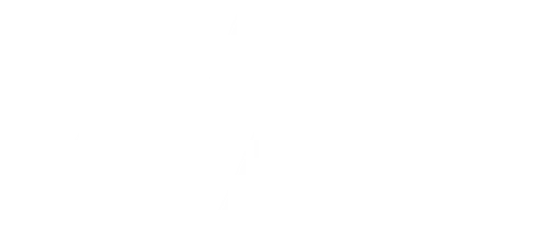 В англоязычных странах есть традиция — 29 февраля женщина может сделать предложение мужчине, и он не имеет права отказаться. И вот чопорная дама едет в Дублин, чтобы именно в этот день попробовать сделать предложение своему бойфренду.  Но погода меняет её планы, и чтобы осуществить задуманное, ей приходится прибегнуть к помощи ворчливого ирландца — хозяина гостиницы. Вместе с ним героиня вынуждена путешествовать через всю страну, чтобы успеть вовремя сделать предложение.