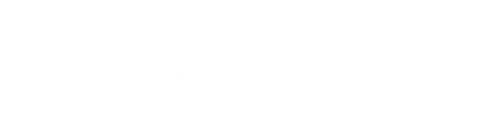 Писатель Пол Шелдон не помнит сильного снегопада, из-за которого он разбился на своей машине где-то в горах. Он также не помнит, как его нашла и спасла от неминуемой смерти женщина.  Все, что он помнит, это лишь то, как он проснулся в доме Энни Вилкс — ярой поклонницы его романов. Не желая расставаться со своим любимым автором, она ломает ему ноги — чтобы никуда он не убежал и заставляет Пола создавать новую книгу, делая его, таким образом, своим собственным «ручным» писателем.  Проклиная своих школьных учителей, которые научили его писать, он пытается вновь обрести свободу, убежав из дома Энни. Но из цепких рук жестокой маниакальной фанатички не так-то легко вырваться.