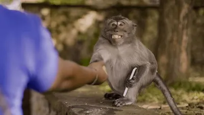 The Unusual Suspects