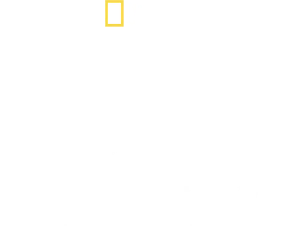 Tucci in Italy