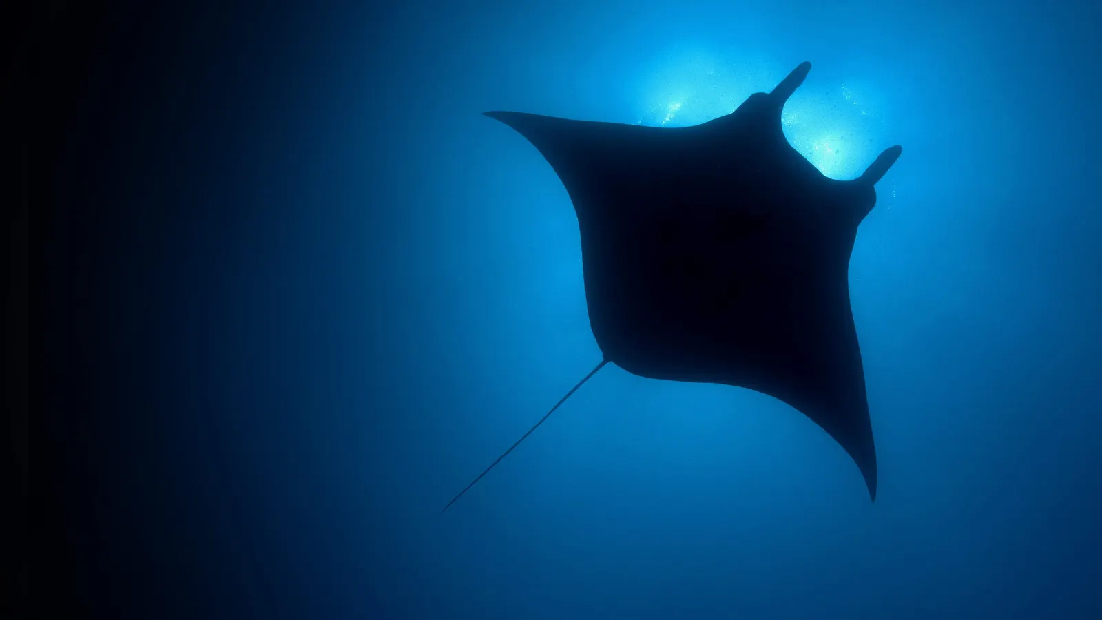 Голубая планета