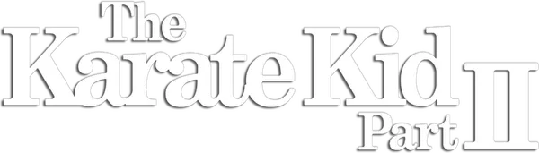 Господин Мияги, учитель карате Дэниэла, получает печальное известие о том, что его отец находится при смерти. Быстро собравшись, он покидает Лос-Анджелес и отправляется в Японию. Дэниэл решает сопровождать его в этом путешествии. На Окинаве Мияги неожиданно встречает своего старого врага и давнюю возлюбленную, а Дэниэл обретает новую любовь, а заодно — и нового врага.