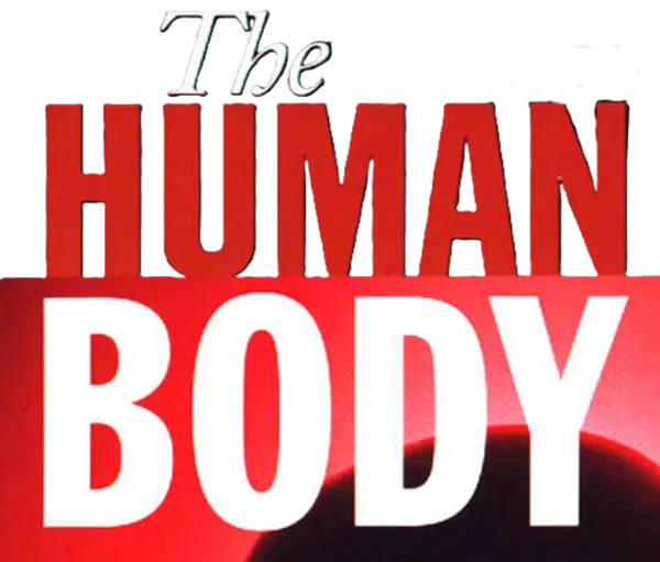 The Human Body