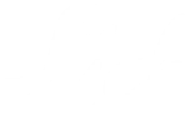 Эвелин просыпается в Вегасе замужем за рок-звездой Дэвидом после того, как потеряла сознание в свой 21-й день рождения. Погруженная в его славу, она задается вопросом, сможет ли она выдержать его образ жизни, пока они пытаются понять, настоящий ли их брак или ошибка.