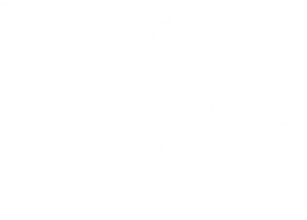 Лу Кларк знает, сколько шагов от автобусной остановки до ее дома. Она знает, что ей очень нравится работа в кафе и что, скорее всего, она не любит своего бойфренда Патрика. Но Лу не знает, что вот-вот потеряет свою работу и что в ближайшем будущем ей понадобятся все силы, чтобы преодолеть свалившиеся на нее проблемы.  Уилл Трейнор знает, что сбивший его мотоциклист отнял у него желание жить. И он точно знает, что надо сделать, чтобы положить конец всему этому. Но он не знает, что Лу скоро ворвется в его мир буйством красок. И они оба не знают, что навсегда изменят жизнь друг друга.