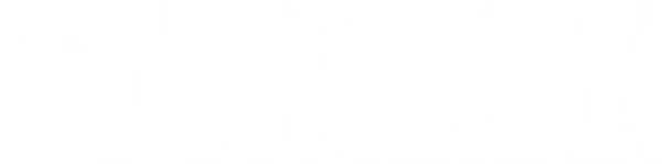 Успешный чернокожий бизнесмен, терзаемый кризисом самоопределения и крахом своего брака, оказывается втянут в полную сексуального напряжения игру в «кошки-мышки» с таинственной белой женщиной в вагоне метро. Это противостояние неизбежно ведет к жестокой развязке.