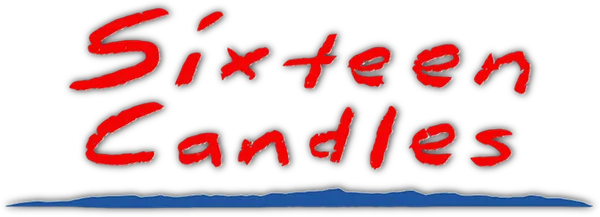 В день своего шестнадцатилетия Саманта Бейкер чувствует себя самым несчастным человеком на свете. Ведь из-за свадьбы сестры никто даже не вспомнил о дне ее рождения! А тут еще надоедливые бабка с дедом заставляют идти на школьный вечер с незнакомым китайцем, и ей никак не избавиться от противного новичка, воспылавшего к ней неземной любовью.  И все же, в глубине души, Саманта надеется, что парень, о котором она мечтает, обратит на нее внимание.