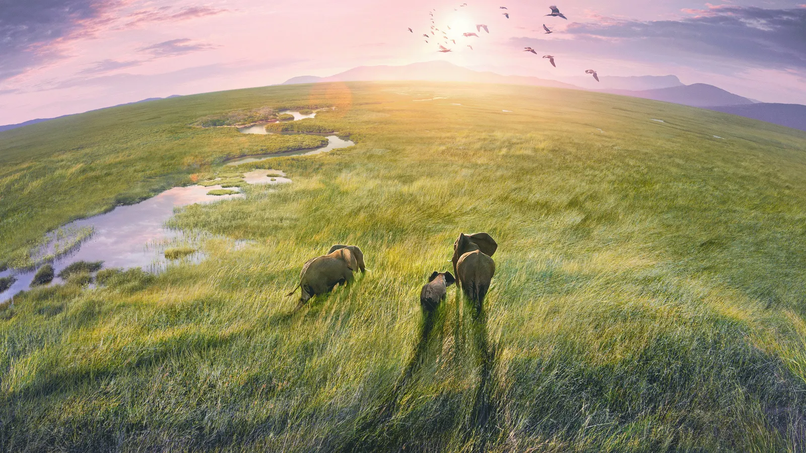 Планета Земля III