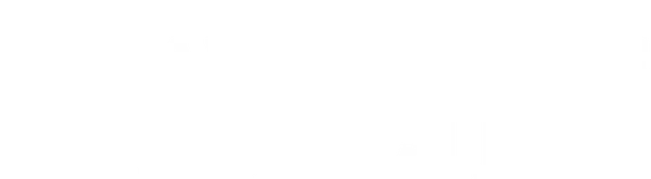 The Remarkable Life of Ibelin
