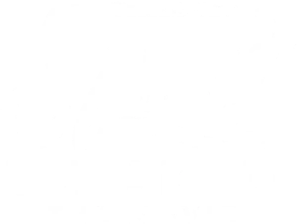 Spirit Untamed
