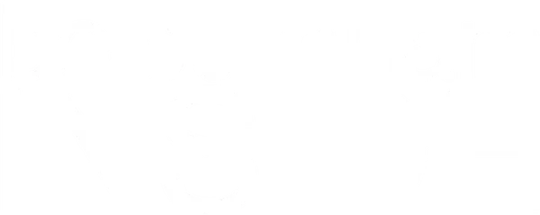Bo Burnham: Inside