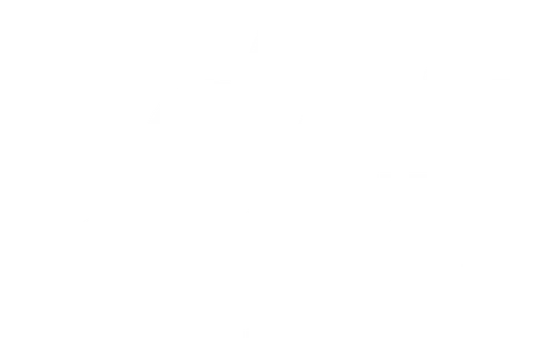 Что делать, если тебя и твоего любимого хозяина разделяют сотни километров? Белла знает ответ: она обязательно вернется домой, чего бы ей это не стоило! И путь ее будет полон невероятных приключений, опасностей и удивительных открытий.