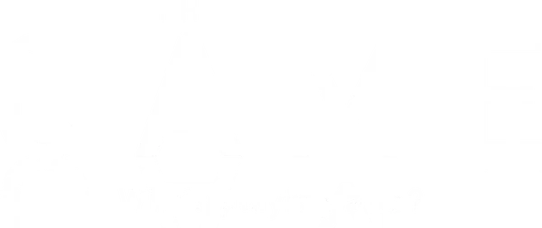 The Game