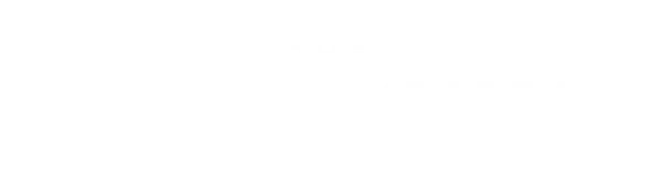 The Mandalorian