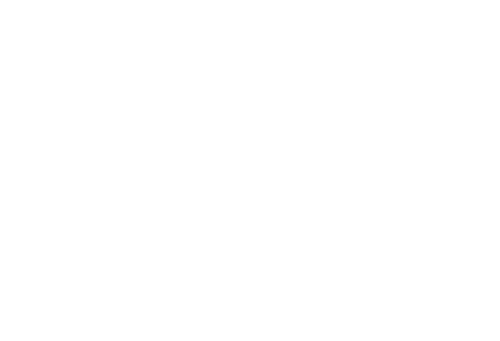 Старый пес Бадди прожил несколько жизней, прежде чем воссоединиться со своим первым хозяином. Но на этом цепь его перерождений не оборвалась. Он возвращается в теле щенка, получает кличку Молли и выполняет новую миссию – принести счастье проблемной девочке-подростку СиДжей.