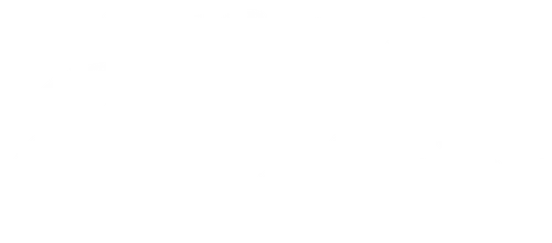 Две подруги ходят на рождественские вечеринки незваными гостями и неожиданно находят любовь и цель.