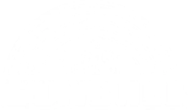 The Amazing World of Gumball