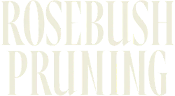 Rosebush Pruning
