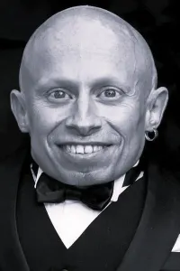 Верн Тройер