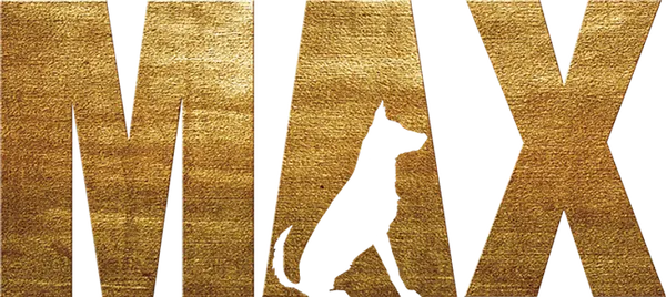 История о собаке, которая помогала солдатам в Афганистане. После трагического происшествия собаку забирает к себе домой семья ответственного за нее солдата.