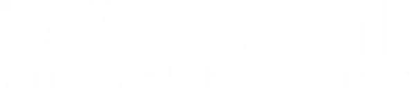 Журналист и продюсер BBC Френсис Уотли ведёт репортаж о последних годах Дэвида Боуи, когда тот уже редко появлялся на публике, но не прекращал творить — как правило, в атмосфере максимальной секретности. Болезнь, запись новых альбомов и съёмки клипов, свидетельства очевидцев и, главное, разговоры с самим Боуи — фильм не вырывает пять лет из жизни артиста, но подводит вместе с ним её итог.