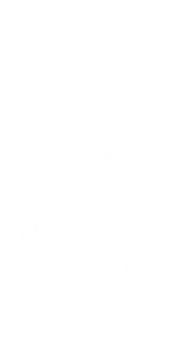 Действие развивается в европейской деревушке XIX века. Главного героя — молодого человека Виктора — силы тьмы утаскивают в преисподнюю и женят там на таинственном Трупе Невесты, в то время как его настоящая невеста Виктория ожидает своего жениха в мире живых. Несмотря на то, что проживание в Царстве мертвых оказывается много интересней, чем его привычный викторианский образ жизни, Виктор понимает, что свою единственную любовь он не променяет ни на что ни в одном из альтернативных миров…