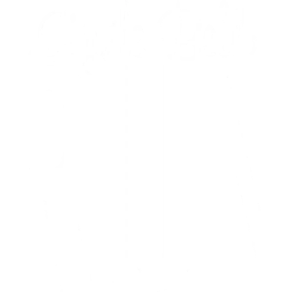 Две противоположности объединяются для участия в удивительной рождественской гонке и параллельно обретают любовь.