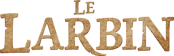 Louis, jeune fêtard paresseux, multiplie les frasques et dépense sans compter la fortune de son père, président d’un groupe hôtelier de luxe. Excédé, ce dernier décide de donner une bonne leçon à son fils, avec une idée révolutionnaire : lui faire croire qu’il a mystérieusement atterri trois siècles et demi plus tôt, au temps de Louis XIV ! Pris dans cette mascarade soigneusement réalisée, le jeune homme va vite découvrir qu’à l’époque, ce n’était pas la vie de château pour tout le monde ! Adieu paillettes et smartphone, Louis va devoir bien contre son gré les troquer contre ballets, seaux et guenilles. Maltraité par un vicomte tyrannique, le jeune larbin s’apprête à en baver !