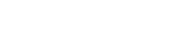 У величественного Короля-Льва Муфасы рождается наследник по имени Симба. Уже в детстве любознательный малыш становится жертвой интриг своего завистливого дяди Шрама, мечтающего о власти. Симба познаёт горе утраты, предательство и изгнание, но в конце концов обретает верных друзей и находит любимую. Закалённый испытаниями, он в нелёгкой борьбе отвоёвывает своё законное место в «Круге жизни», осознав, что значит быть настоящим Королём.