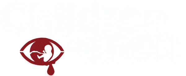 2027 год. Мир погряз в анархии, причиной которой стало массовое бесплодие. Над человечеством нависла угроза полного вымирания. Лишенный иллюзий бюрократ превращается в чемпиона гонки на выживание в Лондоне, раздираемом клановыми войнами противоборствующих группировок. Именно он встает на защиту «последней надежды человечества» — беременной женщины, которую надо доставить в безопасное место под присмотр врачей…