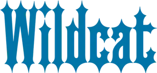 Can scandalous art still serve God? Does suffering precede all greatness? Can illness be a blessing? In 1950, writer Flannery O'Connor visits her mother Regina in Georgia when she is diagnosed with lupus at twenty-four years old. Struggling with the same disease that took her father’s life when she was a child and desperate to make her mark as a great writer, this crisis pitches her imagination into a feverish exploration of belief.