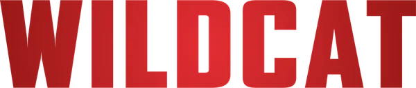 Брат Эйды задолжал мафии крупную сумму. Взамен преступники взяли в заложники ее маленькую дочь. У Эйды есть двенадцать часов, чтобы собрать команду и украсть для них крупную партию бриллиантов, а заодно разработать план побега — ведь владельцы бриллиантов не привыкли прощать тех, кто их обокрал.