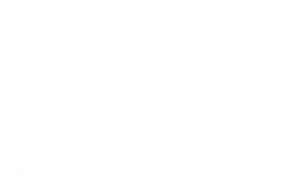 The Purge