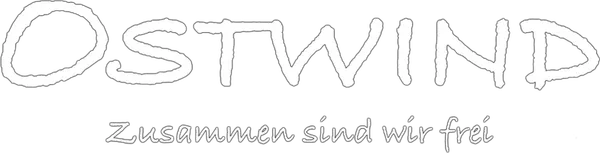 Из-за плохой успеваемости в школе родители отправляют 14-летнюю Мику на всё лето на ферму к строгой бабушке. Однако там помимо сидения над книжками у неё неожиданно находится другое занятие. В отдалённом амбаре она находит дикого жеребца по имени Восточный ветер. Никто на ферме не в состоянии приручить его.  Как по волшебству чувствующая привязанность к лошади Мика однажды ночью прокрадывается в амбар. Так начинается их необычная дружба. Сможет ли она вопреки всему укротить Восточный ветер?
