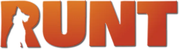 Активная и предприимчивая девочка Энни подбирает на улице очень умного и сообразительного пса. Энни придумывает «двортерьеру» кличку Коротышка, и они быстро становятся лучшими друзьями. Чтобы помочь родителям выкупить дом, Энни решает принять участие в международном дог-шоу и выиграть крупный денежный приз. Вот только есть одна проблема: Коротышка боится выступать на публике, а все участники чемпионата - породистые собаки с большим опытом и хотят помешать успеху безродного новичка.