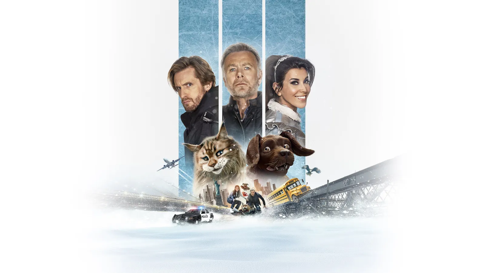 Кот и пёс