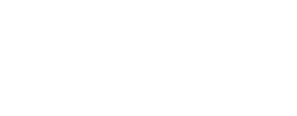 События этого сериала, основанного на книгах Касс Морган, происходят через 100 лет в будущем, после того, как Земля покинута из-за радиоактивности. Последние оставшиеся в живых люди живут на Ковчеге на орбите планеты - а ковчег не вечен. Поэтому, репрессивный режим отбирает 100 несовершеннолетних правонарушителей как расходный материал для отправки на Землю, чтобы посмотреть, пригодна ли планета для жизни как было прежде.