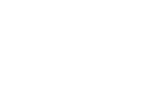 Англия, долгое время пребывавшая в междоусобной войне, наконец вошла в эпоху мира, наступившую благодаря браку принцессы Елизаветы Йоркской, наследницы короля из дома Йорков, и короля Генриха VII, наследника дома Ланкастеров. Но страну и семейную жизнь Елизаветы ждут новые потрясения: её супруг алчен и подозрителен, а на севере вдруг объявляется человек, называющий себя братом королевы.