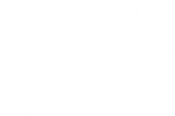 Being the Ricardos