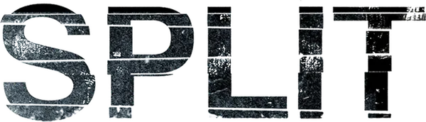 Кевин, человек, в котором живет не менее двадцати трех личностей, вынужден похитить трех девочек подросткового возраста. Тем временем, пока они находятся в заточении, самая главная личность Кевина — Чудовище — материализуется.