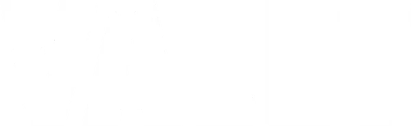 The Valet