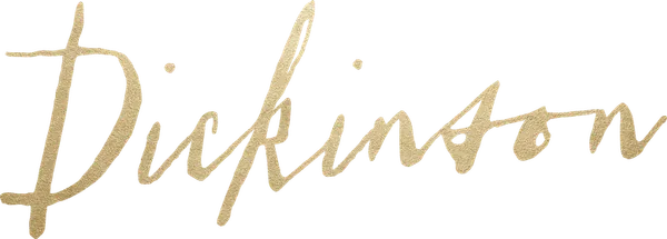 Действия этого комедийного сериала развиваются в 19-м веке. В центре сюжета юная Эмили Дикинсон, начинающая свою карьеру писательницы.