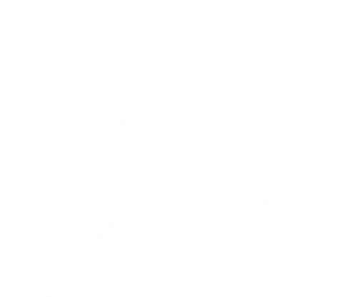 Порой любовь бывает жестока — неумолимо преследует нас, даруя ложные надежды и заставляя ожидать того единственного, которому не суждено быть рядом. Такова судьба Мэгги Клири, самоотверженно влюбленной в духовного отца ее семьи, священника Ральфа де Брикассара. Мэгги — как птица из старинной кельтской легенды, которая всю жизнь проводит в поисках тернового куста, чтобы погибнуть от его шипов, спев свою последнюю сладострастную песню.

Она готова всю жизнь нести любовь как счастливый дар и жестокую муку ради тех немногих моментов, когда она может быть с любимым. Ральф тоже любит девушку, но монашеская ряса и обет перед Богом для него важнее земной любви. И все же, пережив множество бед, потеряв близких людей, пройдя через невзгоды, Мэгги остается верной своей любви.