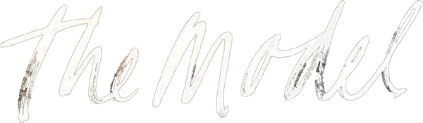 Когда начинающая модель из глубинки Эмма получает приглашение в одно из ведущих модных агентств, она, ни секунды не сомневаясь, отправляется навстречу своей мечте в Париж. На одной из фотосессий она встречает успешного и привлекательного фотографа Шейна Уайта, в которого влюбляется. Однако мир моды диктует свои условия и то, что поначалу складывалось для нее как сказка, начинает постепенно перерастать в опасную одержимость и настоящий ночной кошмар.