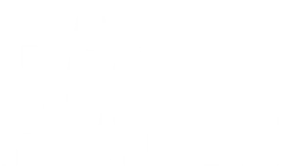 Janet Planet