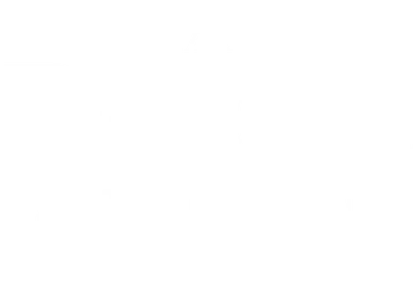 A Dog's Journey