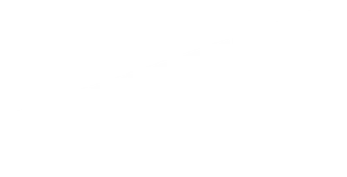 История о сложном браке двух агентов КГБ, которые под видом американцев заселяются в пригород Вашингтона сразу после того, как президентом избирают Рейгана. Подставной брак Филлипа и Элизабет с каждым днем становится все более настоящим и эмоциональным, несмотря на эскалацию холодной войны и опасные отношения, которые они должны поддерживать с сетью шпионов и информаторов. Напряжение нарастает, когда появляется новый сосед Стэн, агент ФБР, который работает в контрразведке.